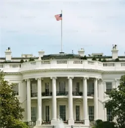 Government